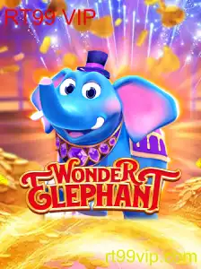 Explorando o Mundo de WonderElephant - Um Guia Completo